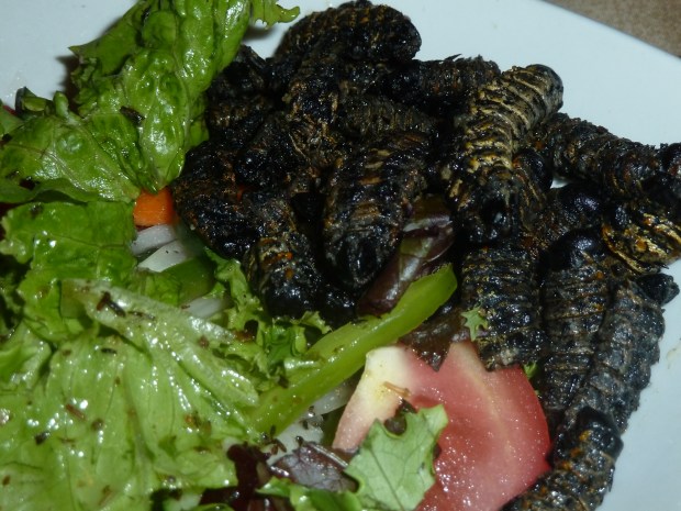Guten Appetit - Mopane Raupen