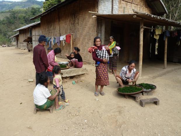 2015 Laos Trekking (110)