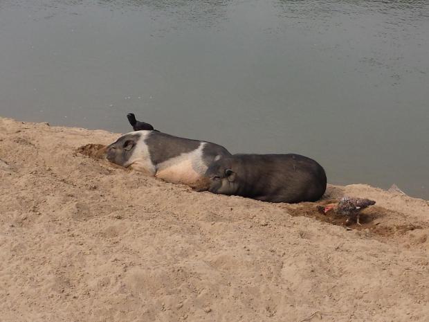 2015 Laos Trekking (14)