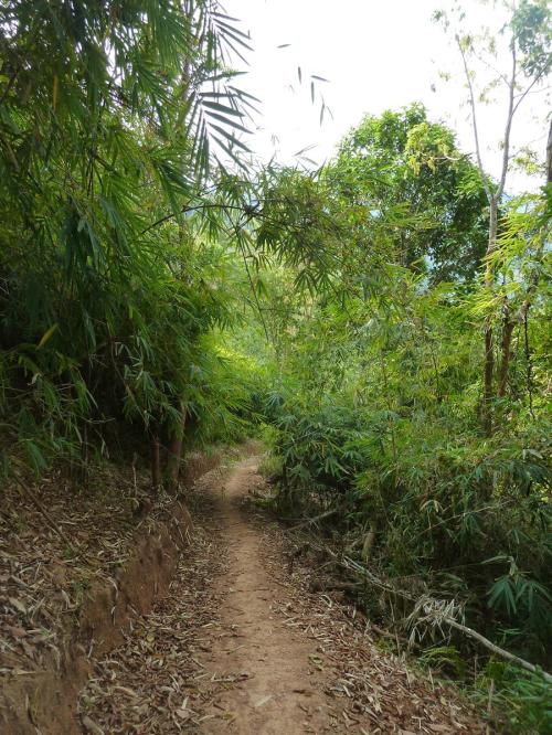 2015 Laos Trekking (190)