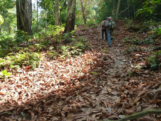 2015 Laos Trekking (30)