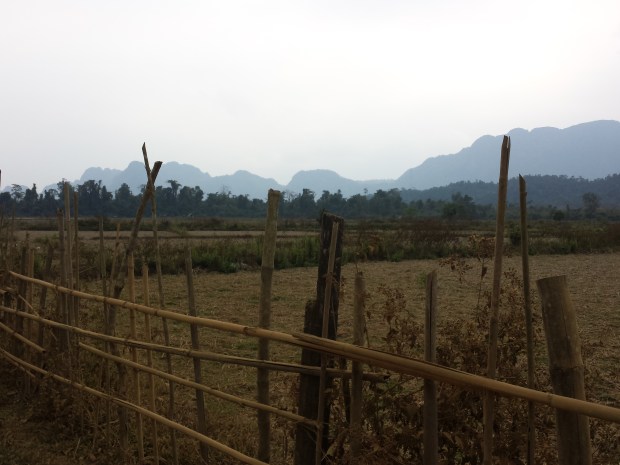 Tolle Karstformationen, trockene Reisfelder